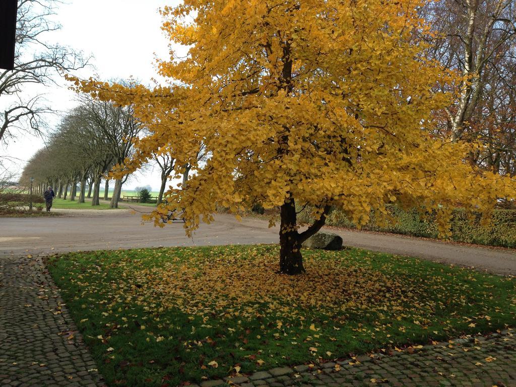 Wirketorp Countryside Hotel Kävlinge Kültér fotó