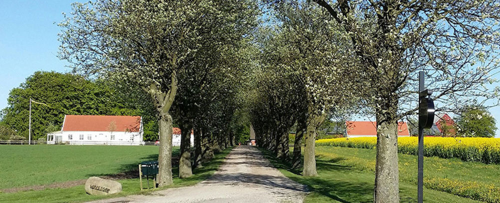 Wirketorp Countryside Hotel Kävlinge Kültér fotó